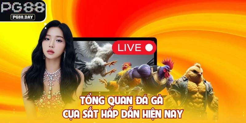 Tổng quan đá gà cựa sắt hấp dẫn hiện nay